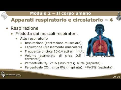 immagine di anteprima del video: Modulo 2 - Il corpo umano