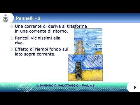 immagine di anteprima del video: Mod 5 Costa Artificializzata Corso di Bagnino